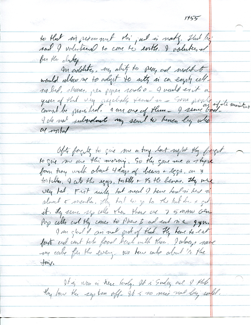 Dr John WorldPeace 2008 Prison Journal